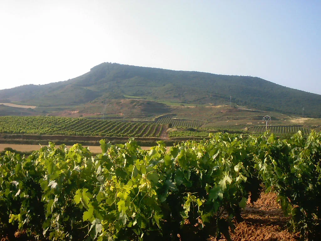 Viñedos de Ventosa en La Rioja